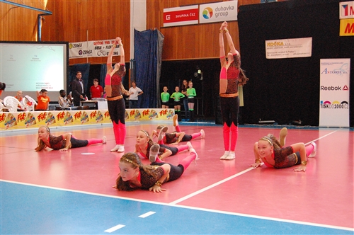Obrázek v galerii