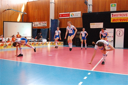 Obrázek v galerii