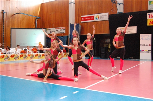 Obrázek v galerii