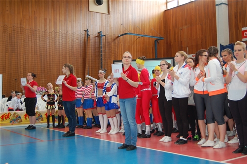 Obrázek v galerii