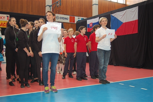 Obrázek v galerii