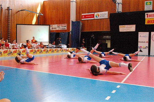 Obrázek v galerii