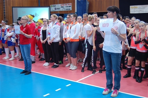 Obrázek v galerii