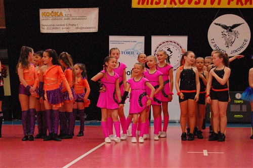 Obrázek v galerii
