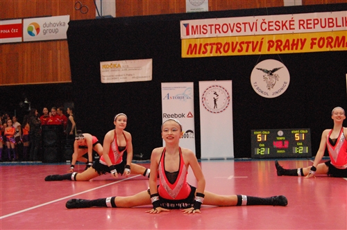 Obrázek v galerii