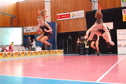 Obrázek v galerii