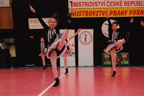 Obrázek v galerii