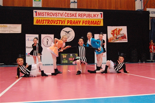 Obrázek v galerii