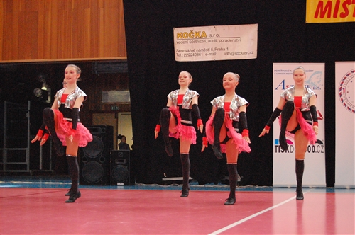 Obrázek v galerii
