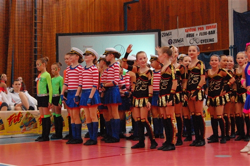 Obrázek v galerii