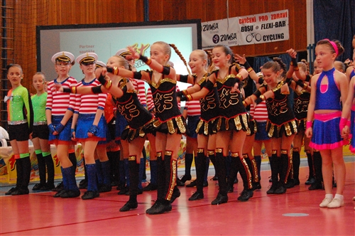 Obrázek v galerii