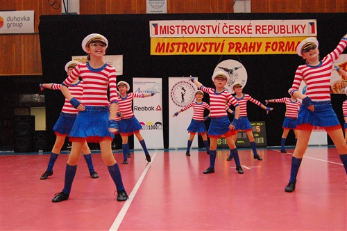 Obrázek v galerii