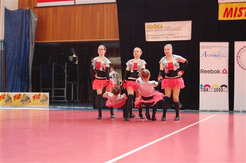 Obrázek v galerii