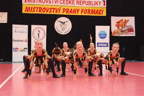 Obrázek v galerii