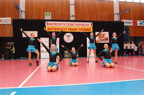 Obrázek v galerii