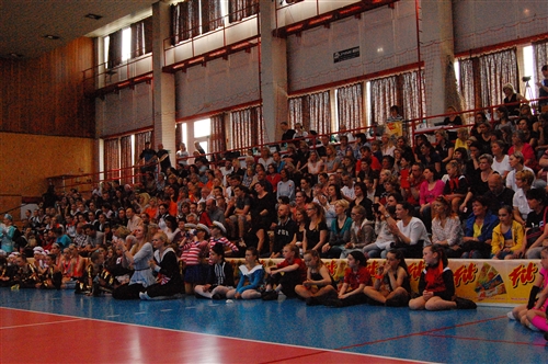 Obrázek v galerii