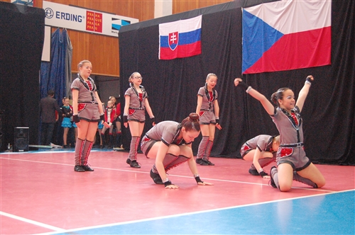 Obrázek v galerii