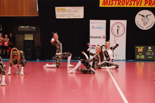 Obrázek v galerii