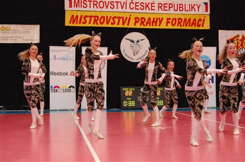 Obrázek v galerii