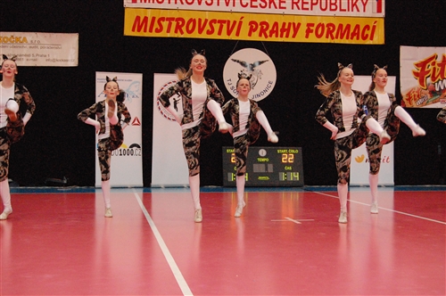 Obrázek v galerii