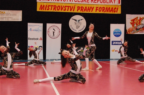 Obrázek v galerii