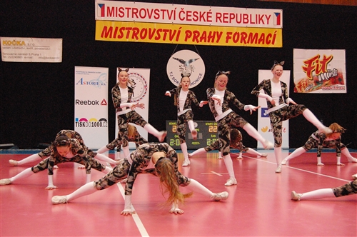 Obrázek v galerii