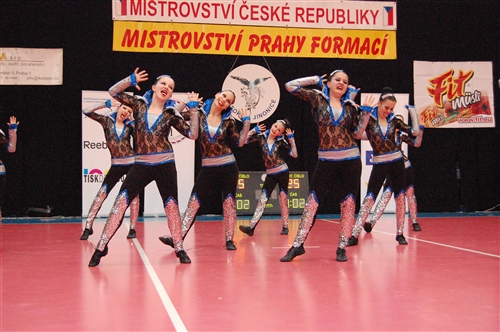 Obrázek v galerii