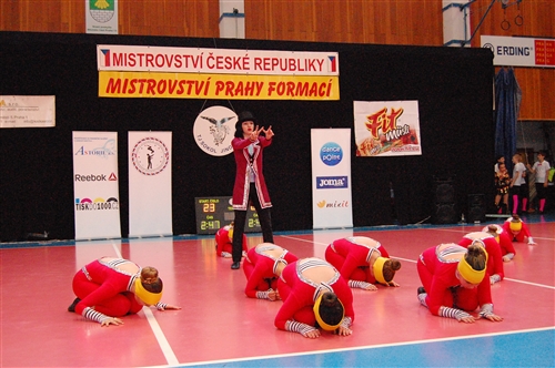 Obrázek v galerii
