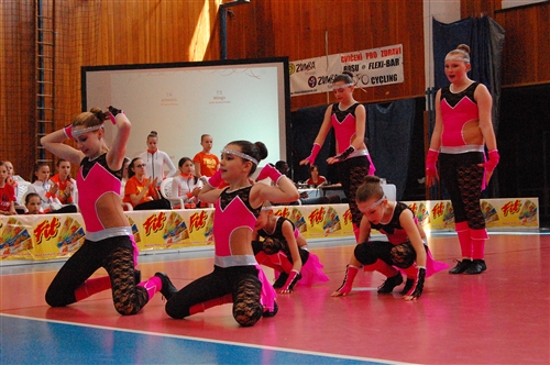 Obrázek v galerii