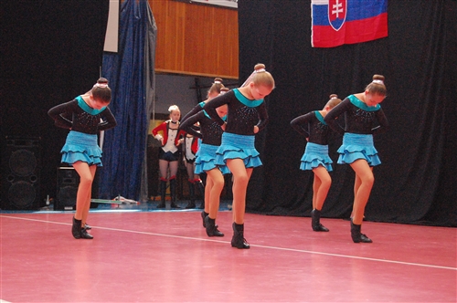 Obrázek v galerii