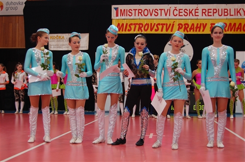 Obrázek v galerii