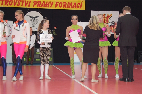 Obrázek v galerii