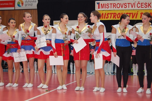 Obrázek v galerii