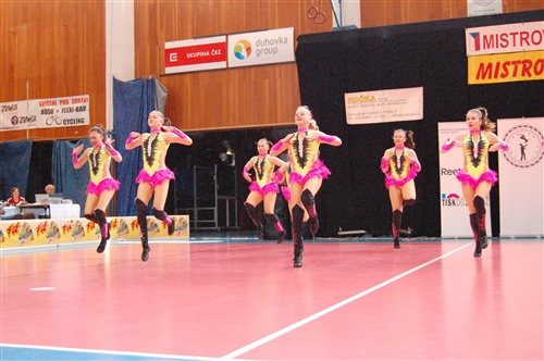 Obrázek v galerii