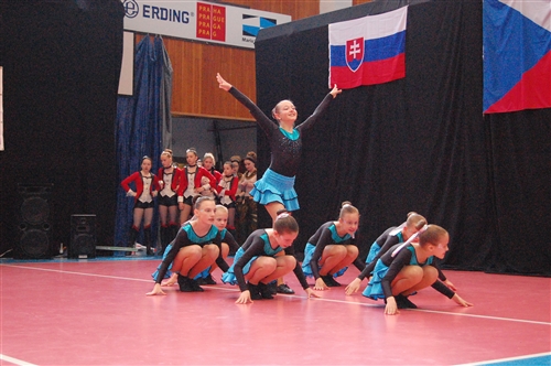 Obrázek v galerii
