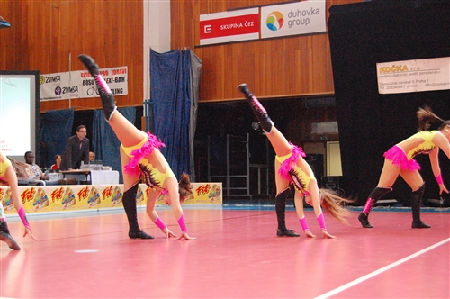 Obrázek v galerii