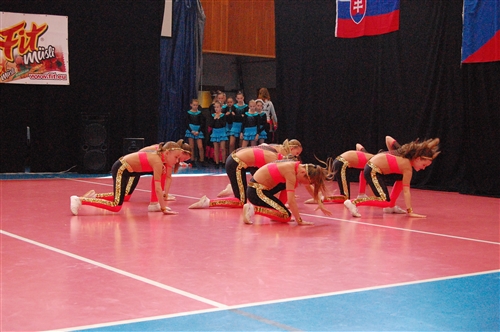 Obrázek v galerii