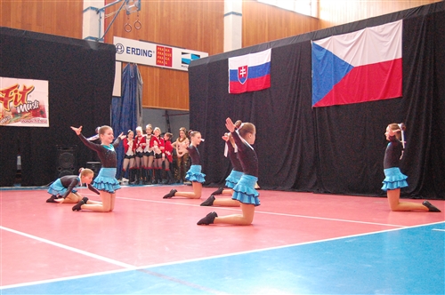 Obrázek v galerii