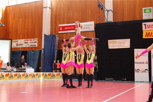 Obrázek v galerii
