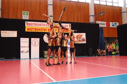 Obrázek v galerii