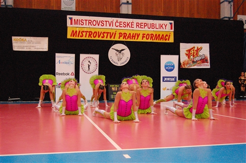 Obrázek v galerii
