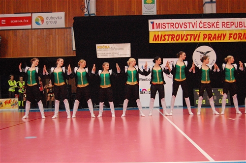 Obrázek v galerii