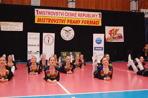 Obrázek v galerii