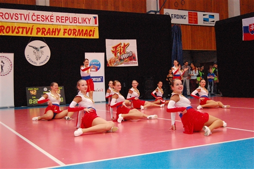 Obrázek v galerii