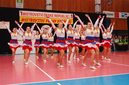 Obrázek v galerii