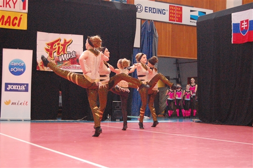 Obrázek v galerii