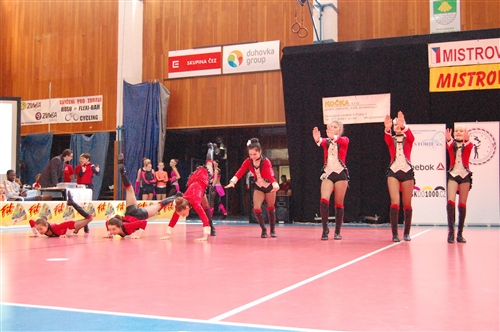Obrázek v galerii
