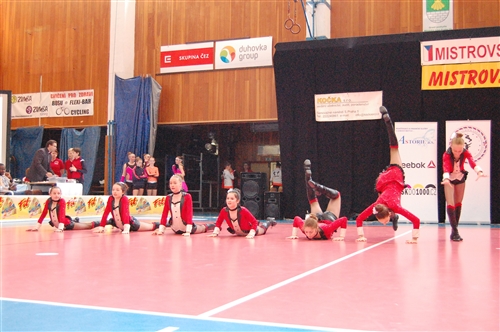 Obrázek v galerii