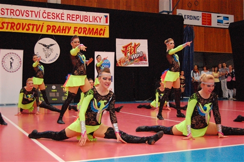 Obrázek v galerii