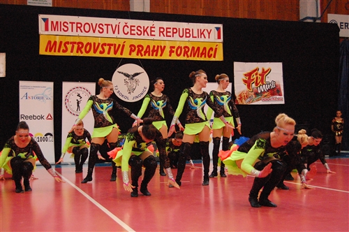 Obrázek v galerii